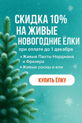Скидка 10% на все новогодние ели при покупке до 1 декабря!