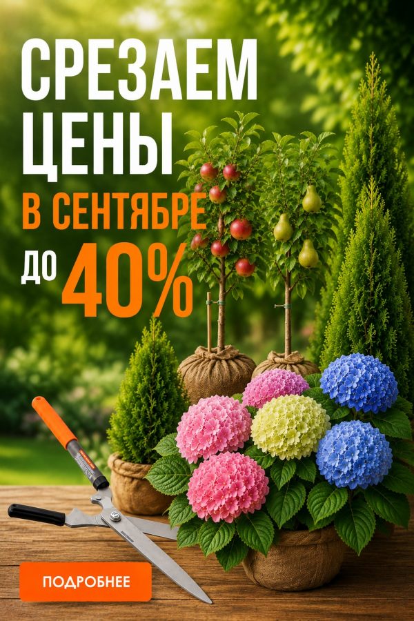 Акции СЕНТЯБРЯ в садовых центрах «Зеленая Фазенда»