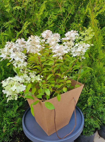 Подарочная коробка Крафт