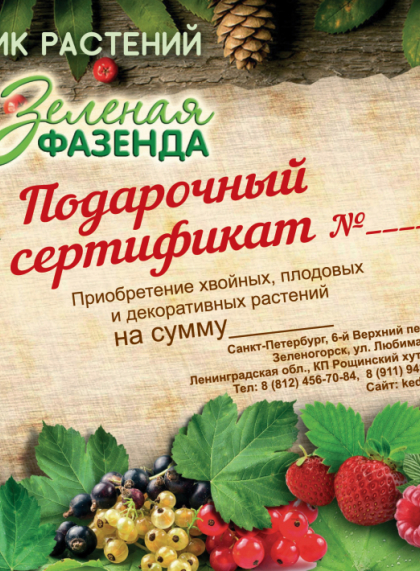 Подарочный сертификат на покупку растений